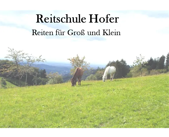 Reitschule Hofer - Foto 2