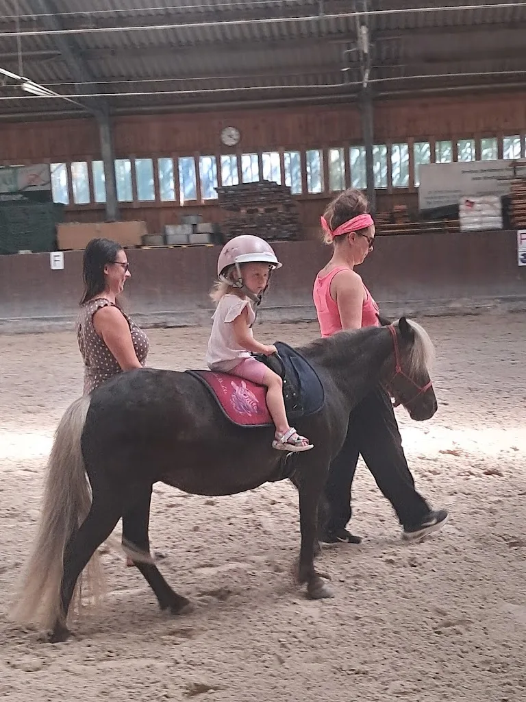Die Ponybande am Wilisch - Foto 1