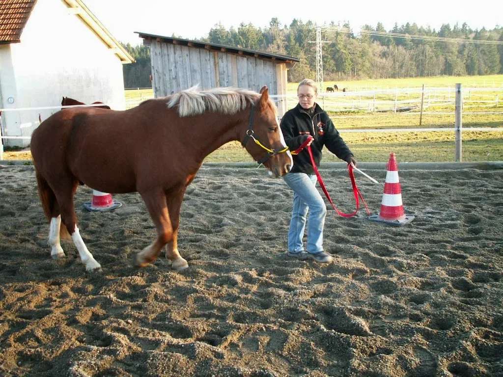 Buchwald - Ranch, Ines Kawik - photo 3