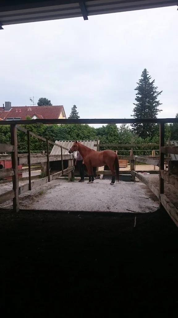 Hahnenhof - photo 3