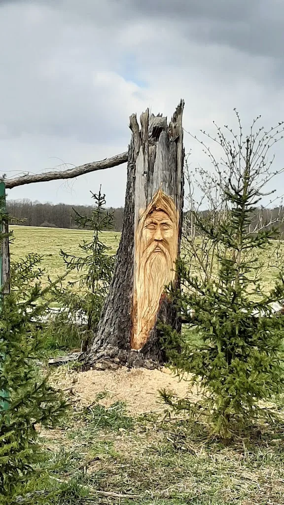 Landgut Langebrück - Foto 3