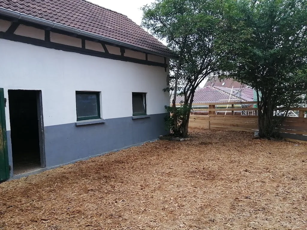 Böhmweilerhof~ - photo 2