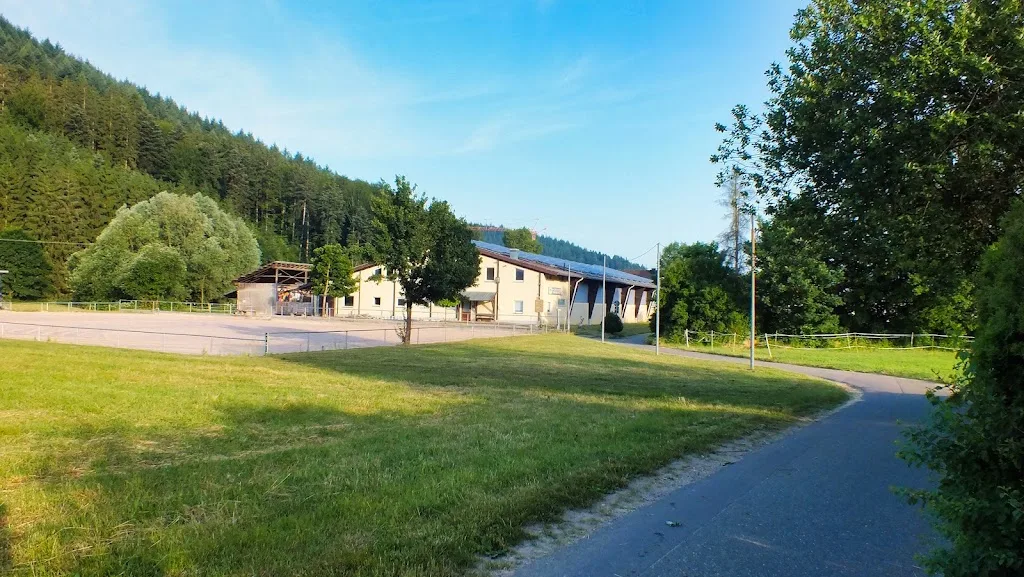 Reit- und Fahrverein Gengenbach e.V. - Foto 2