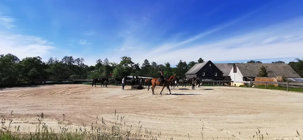 Reitanlage Wittig - Foto 2