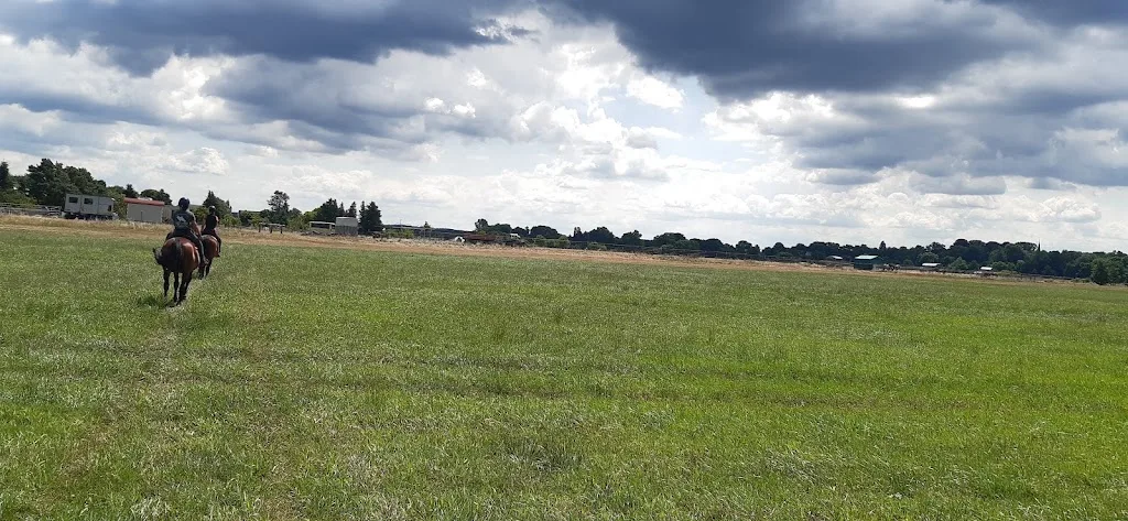Feldreiterhof Molkenberg - Foto 2