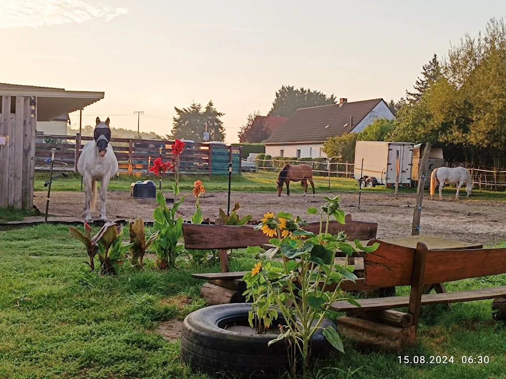 Thunder Horse Ranch - photo 3