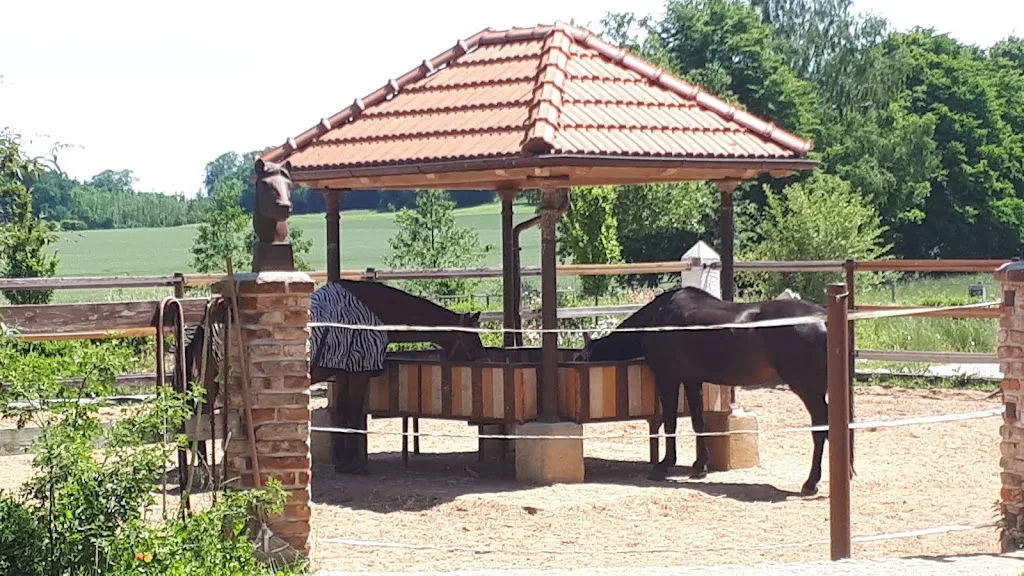 Ausbildungs- und Verkaufsstall Hofgut Holzhausen - Foto 2