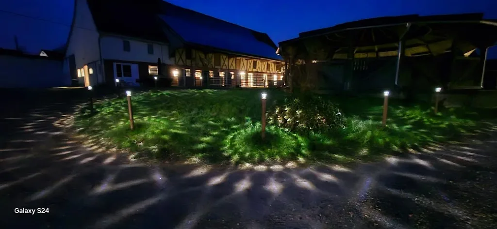 Pferdepension-Pferdeosteopathie Reich - photo 1
