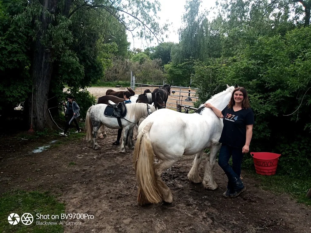 Ponyhof Dreiskau Muckern - Foto 2
