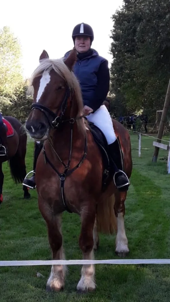 Schleusenhof Duales Pferde Training Lena Jannsen - Foto 1