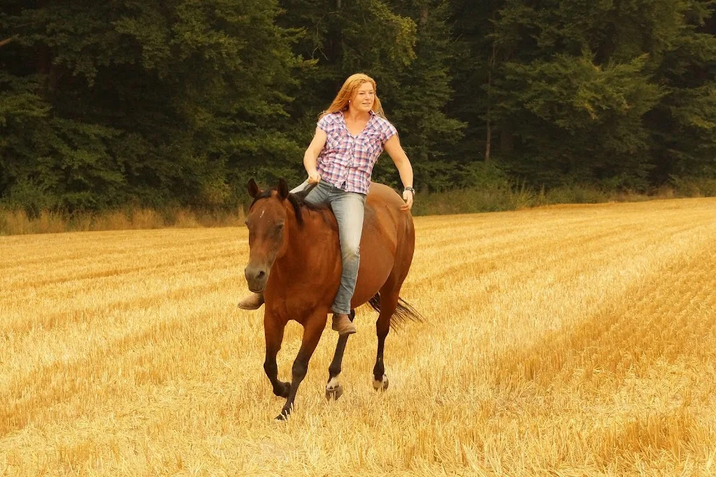 Hof am Wiehen - Foto 2