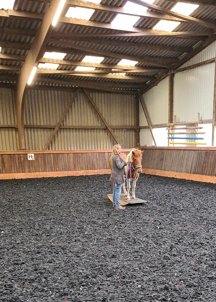 Reittherapie & Erlebnishof-Sieperting - photo 2