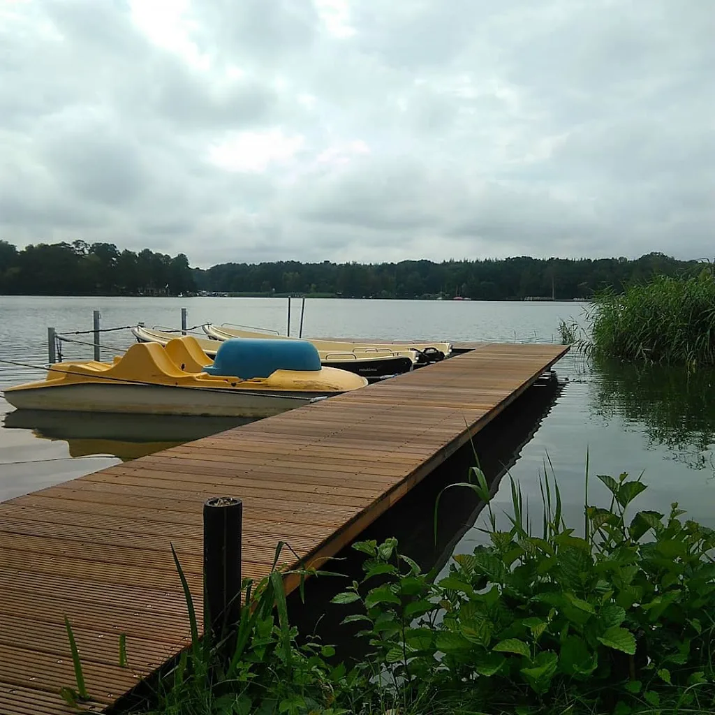 Banti-Cow Ranch - photo 1