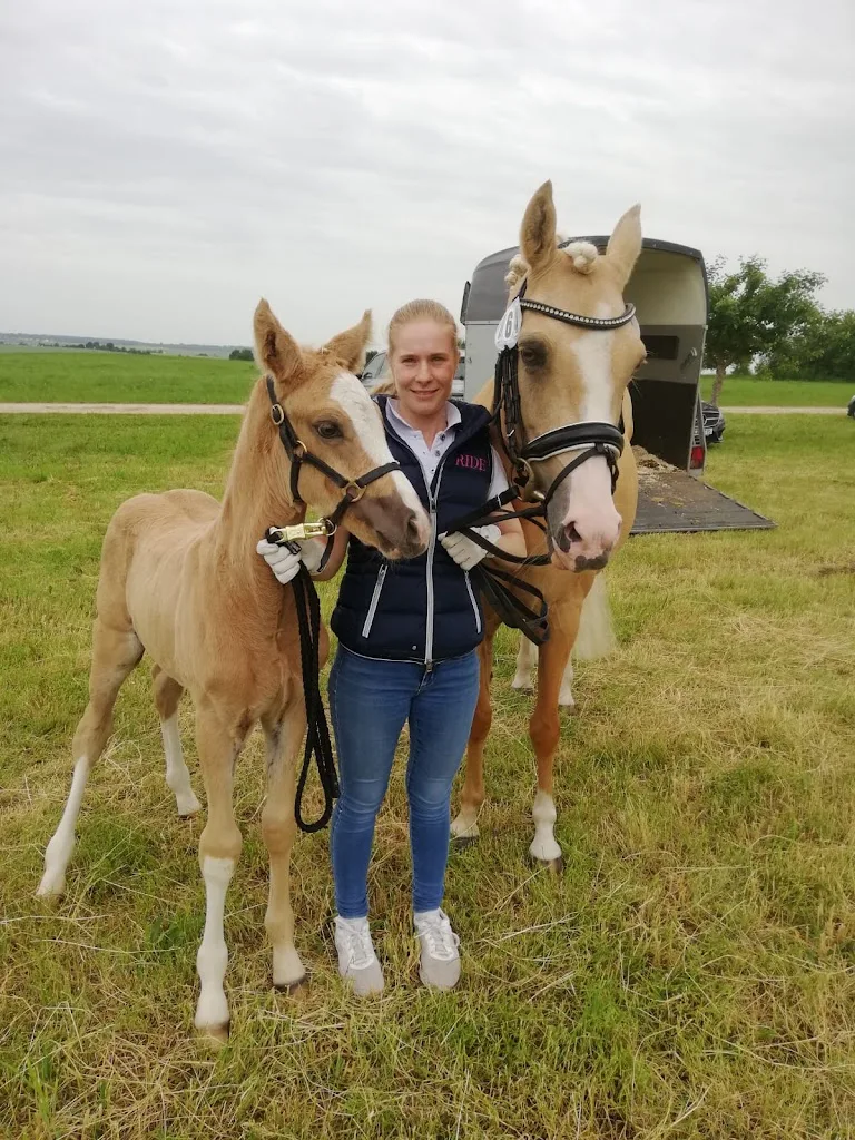 Anna Sporkert Ponysport - photo 1
