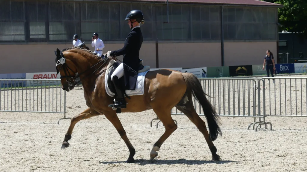 Anna Sporkert Ponysport - photo 3