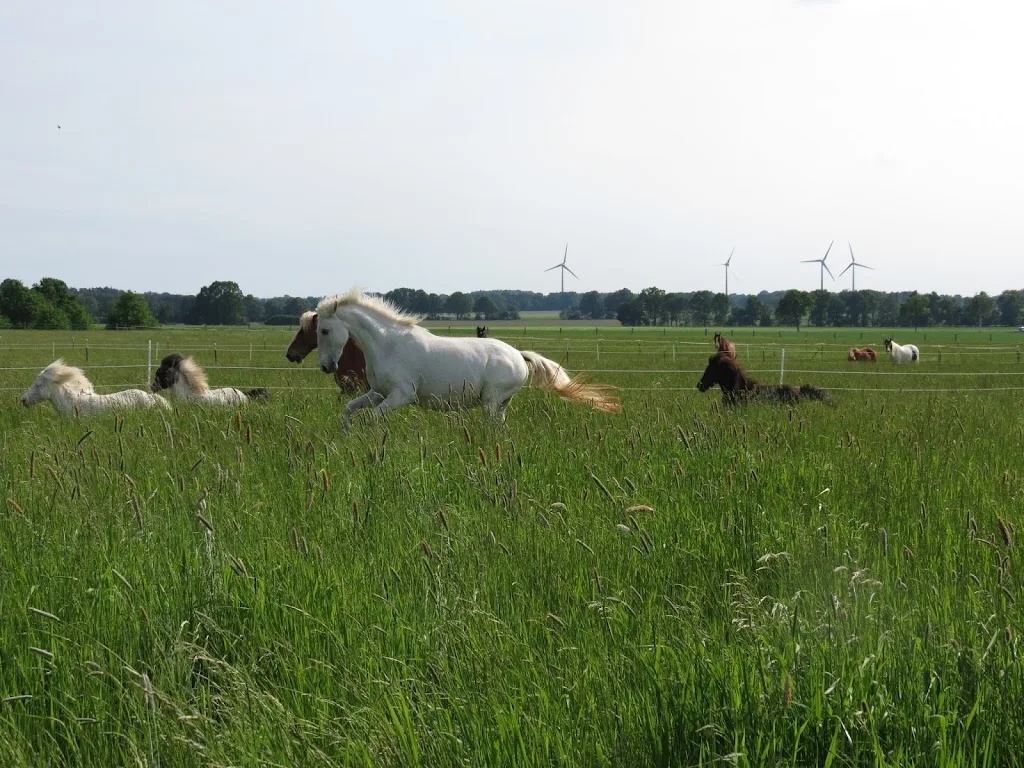 Paddock Trail - Foto 3