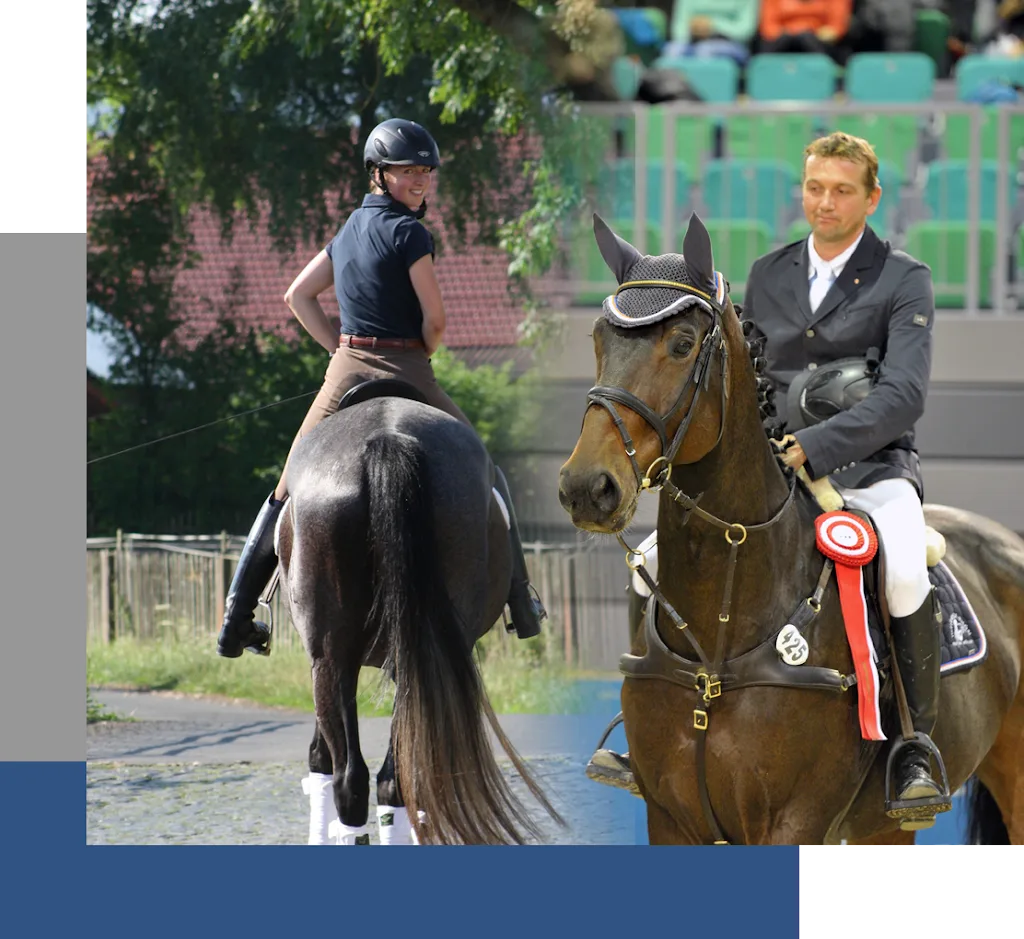 Partner Pferd und Mensch - Foto 2