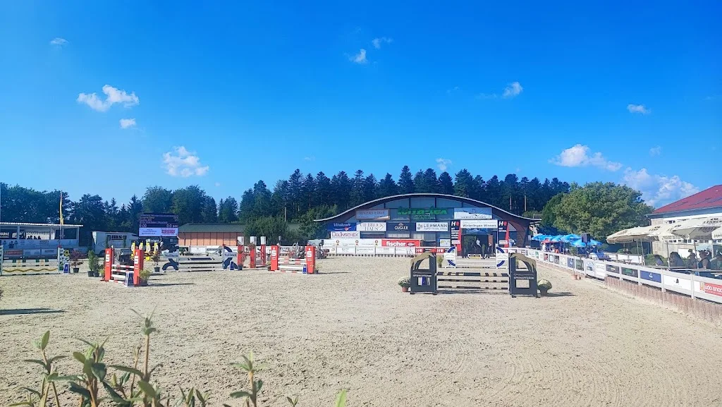 Witzemann Horses - photo 2