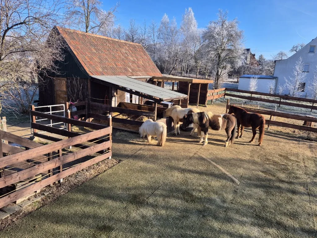 Ponyhof - Foto 1