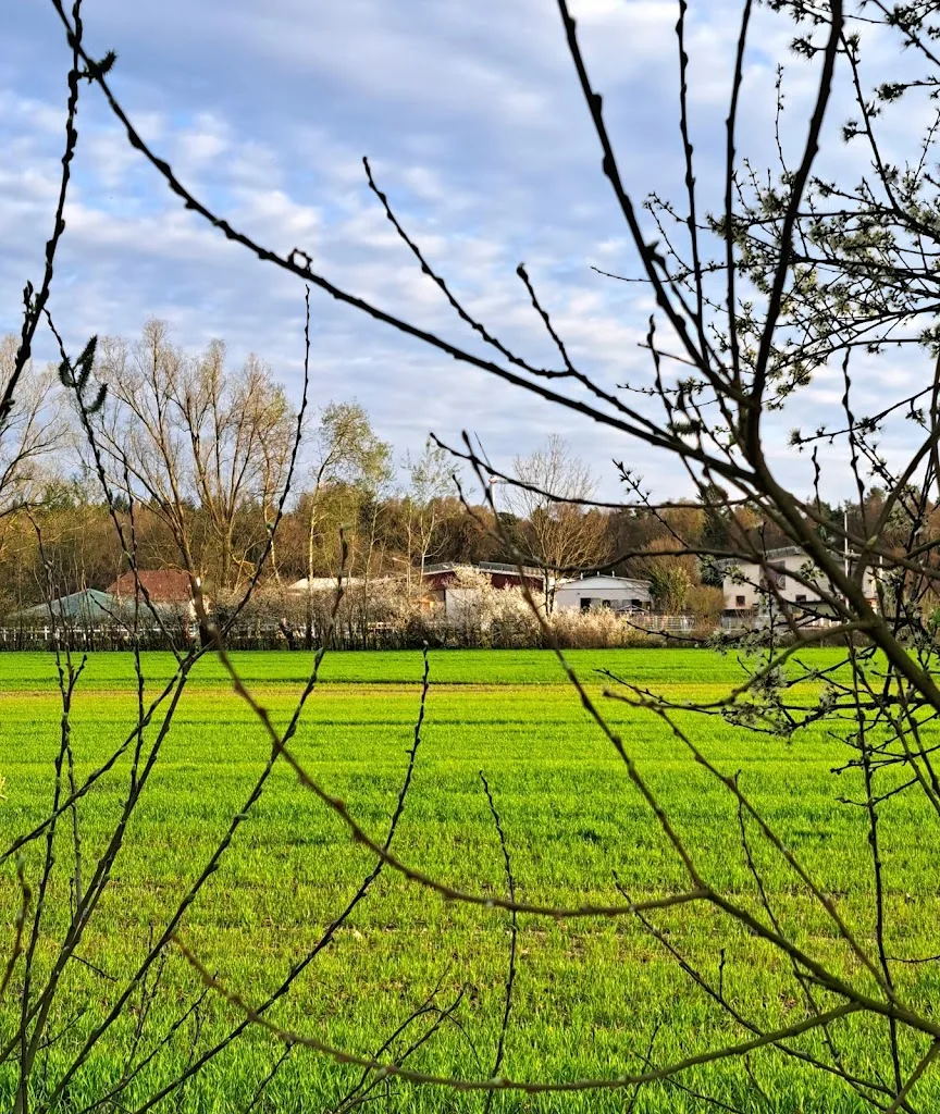 Reitstall Müller - photo 2