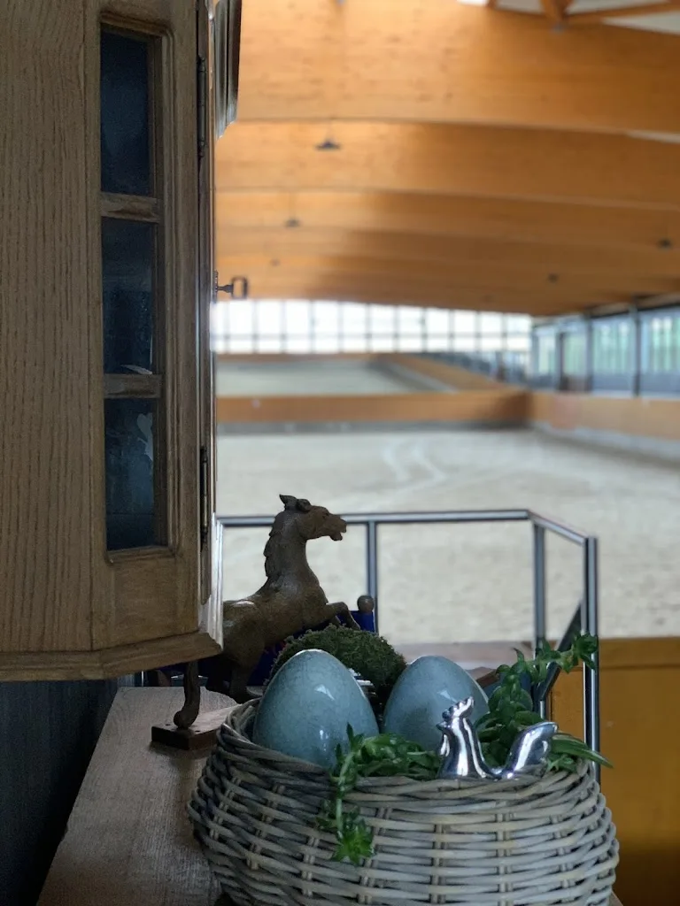 Vogtes Erbe Reitanlage Niehues - Foto 1