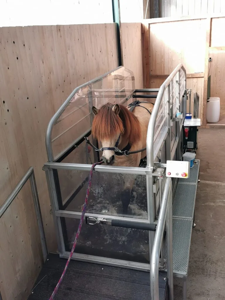 Salt Water Horse Spa - Foto 1