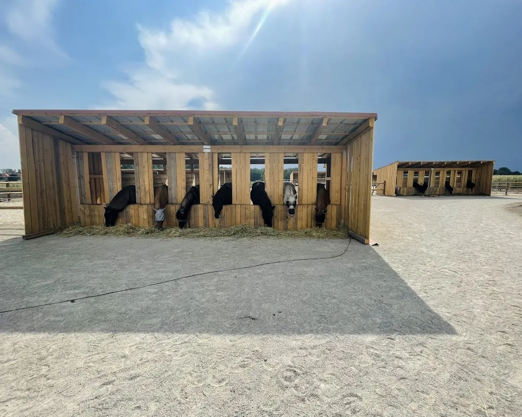 Salt Water Horse Spa - Foto 2