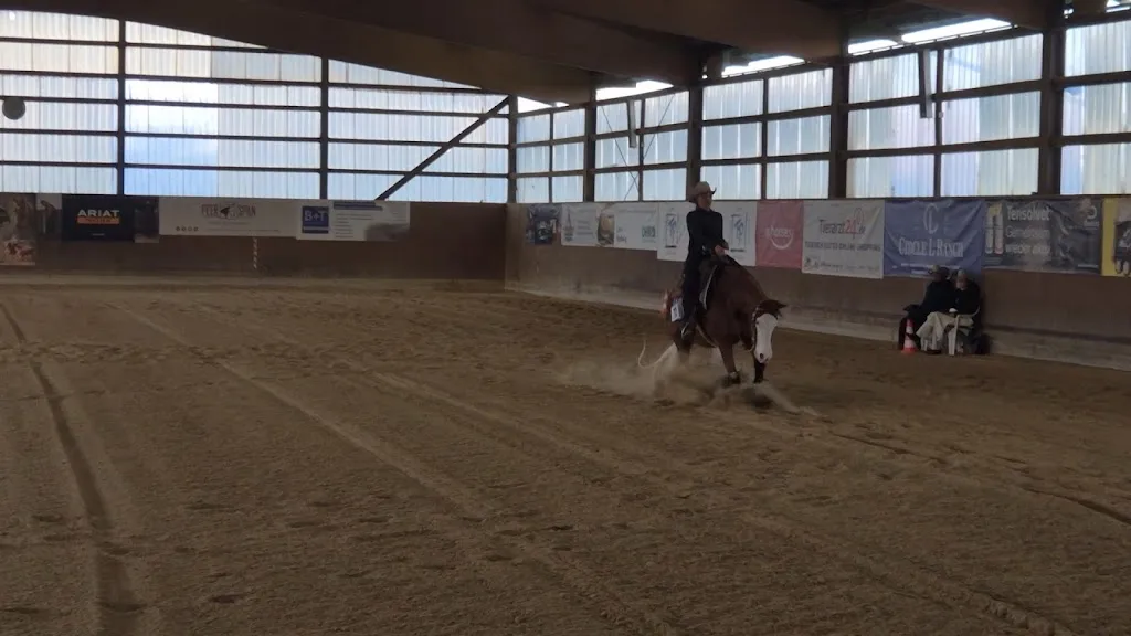 Salt Water Horse Spa - Foto 3
