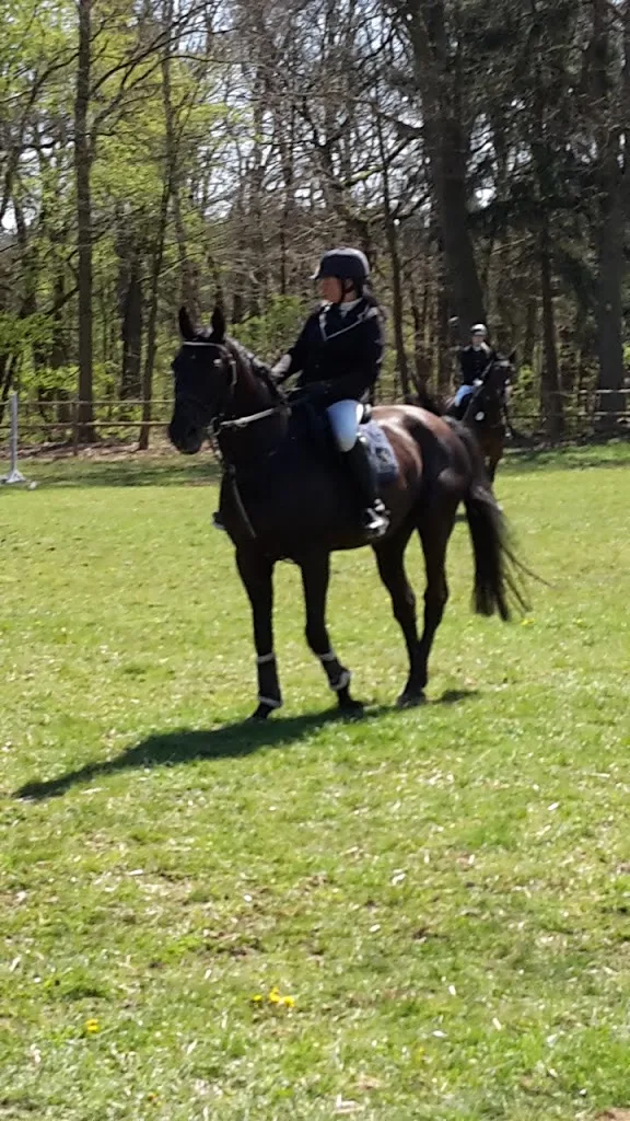 Hof von Samson - photo 2