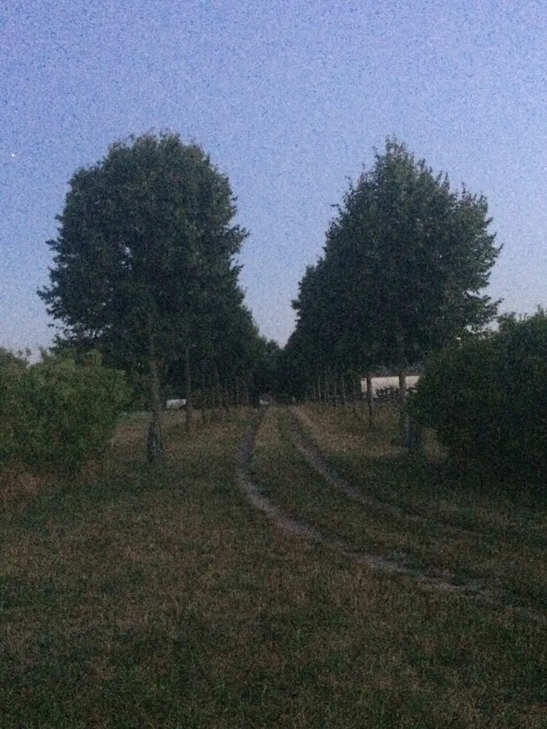 Ausbildungsstall Pelz - Foto 2