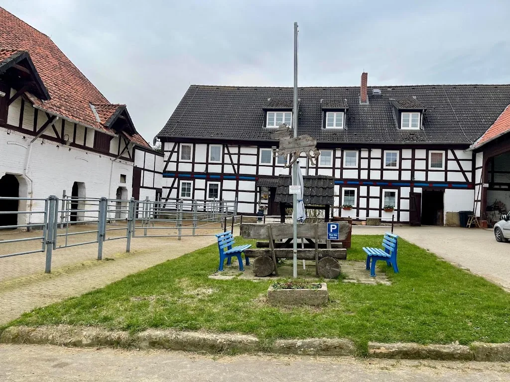 Pferde Therapiehof Steinlah - Foto 1