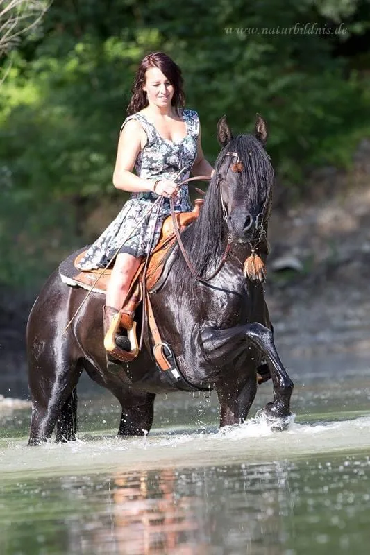 Bergerranch, CB Arabians Carina Berger - Foto 1