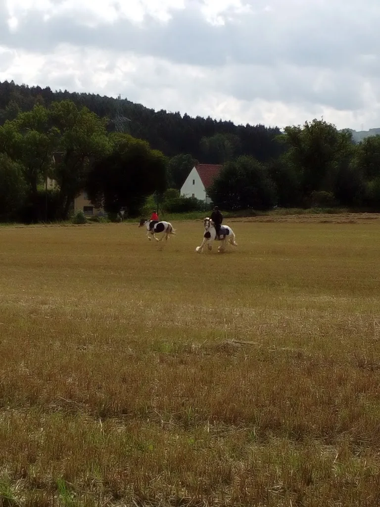 Pferdepension Iserlohn - photo 1