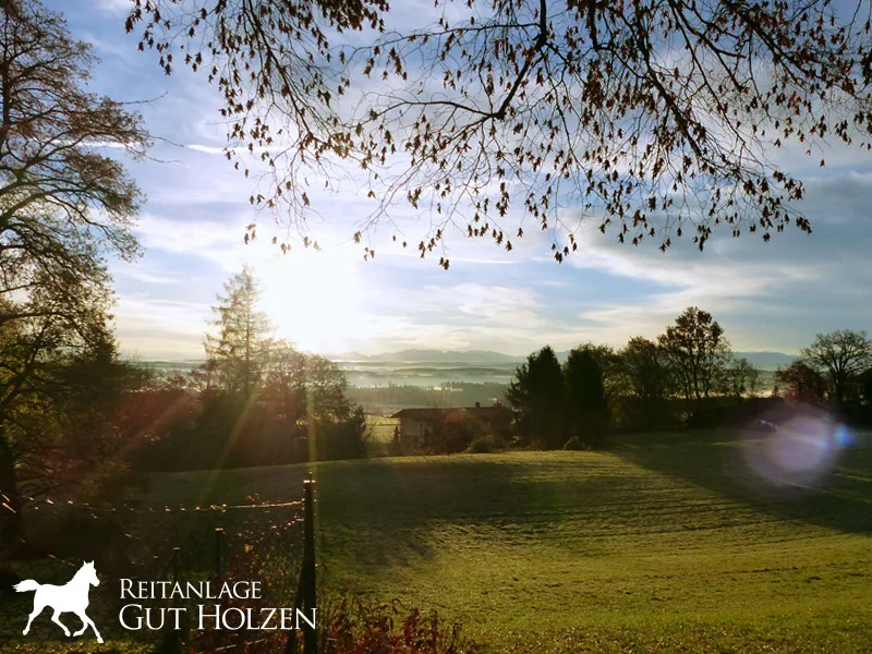 Reitanlage Gut Holzen - photo 2
