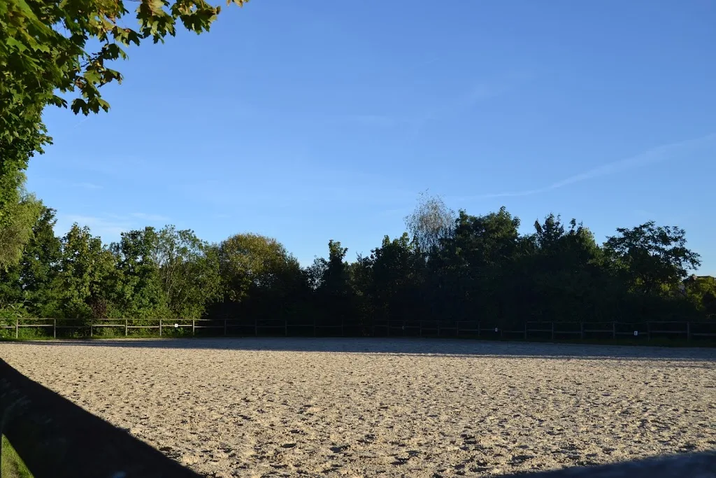 Siedlungslehrhof - Reiten pro Pferd - photo 1