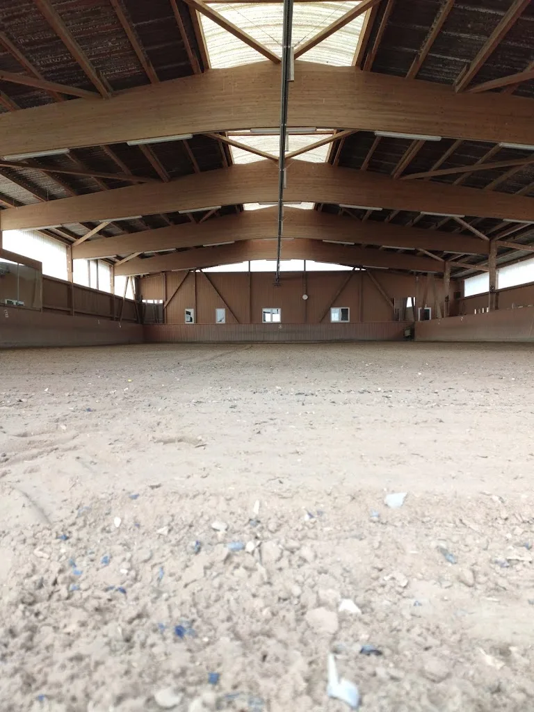 Siedlungslehrhof - Reiten pro Pferd - photo 3