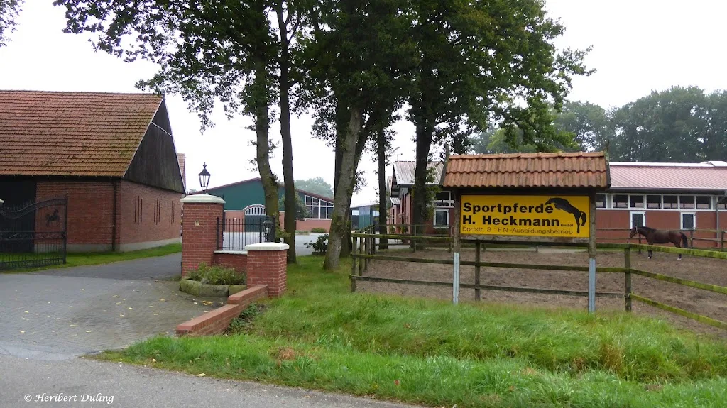Sportpferde H. Heckmann GmbH - Foto 1