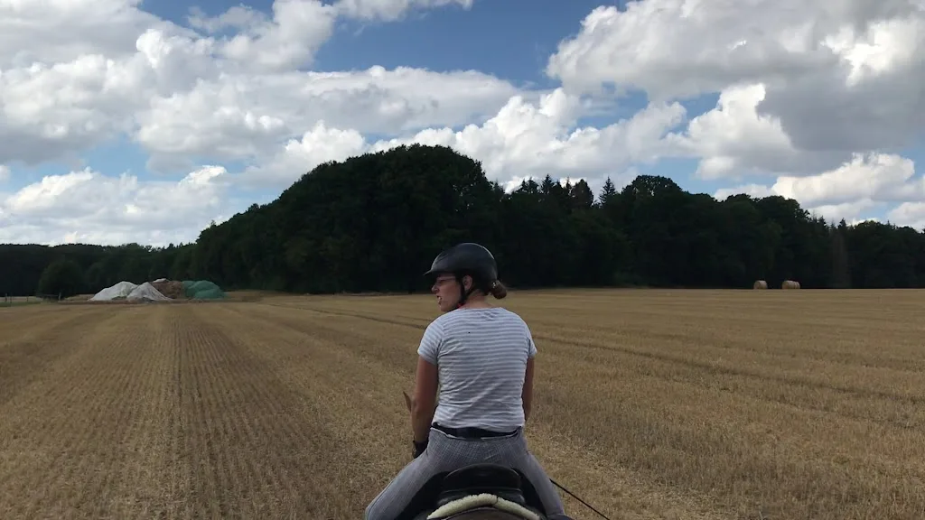 Jennys Reitschule Kutschfahrten zu allen Anlässen - Foto 3