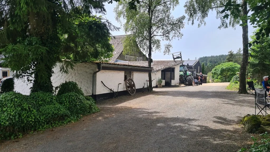 Aktivstall Kuhnigk´s Ranch - Foto 1