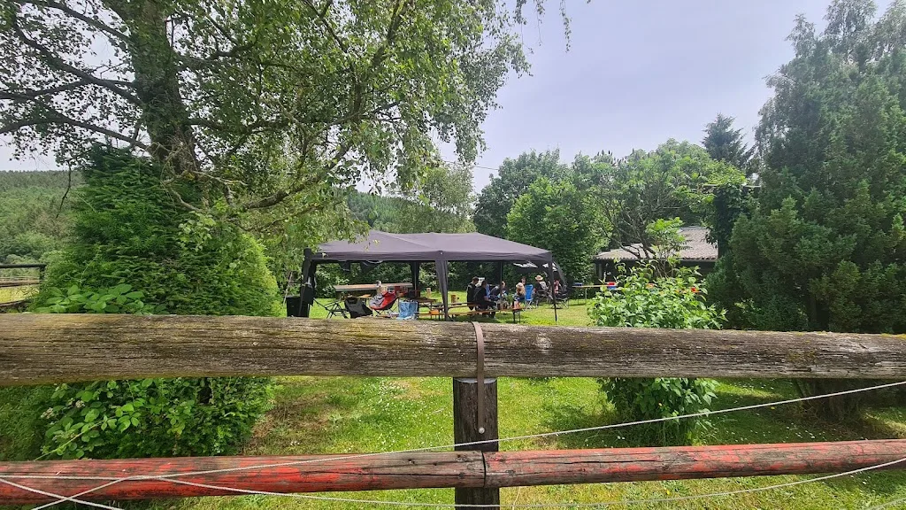 Aktivstall Kuhnigk´s Ranch - Foto 2