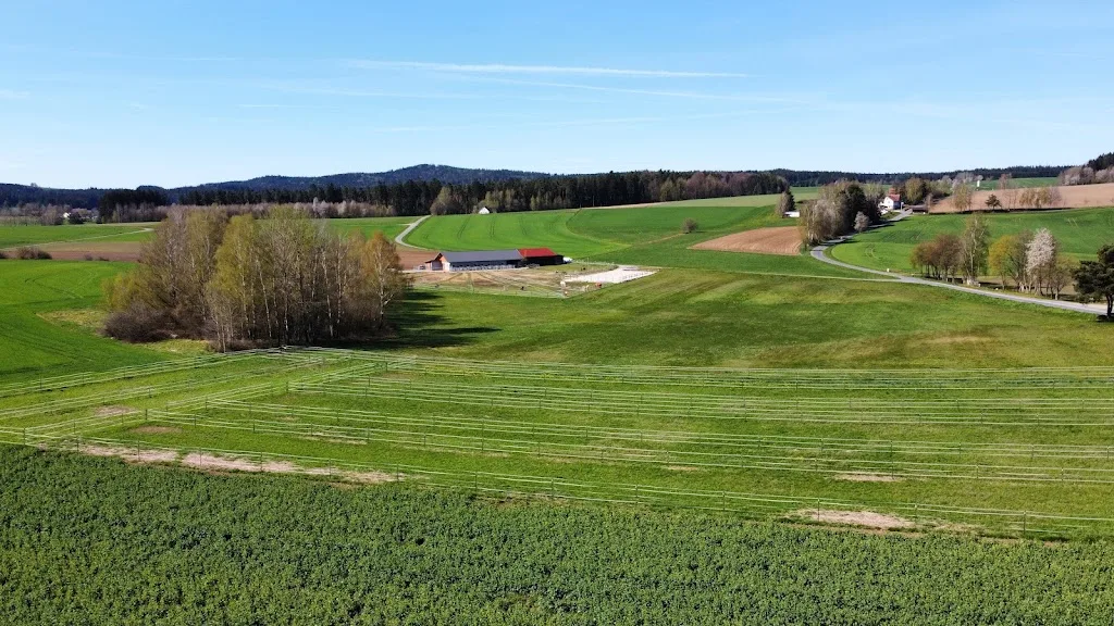 DainsnRanch - Foto 1