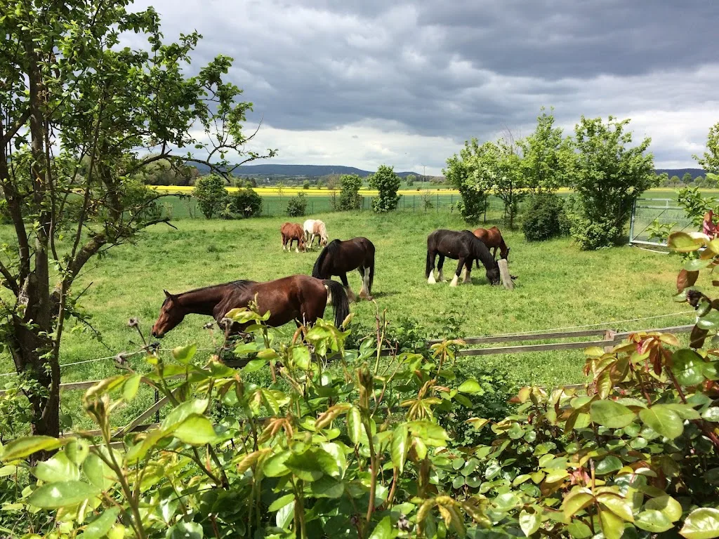 Birkenhof Einbeck GbR - Foto 1