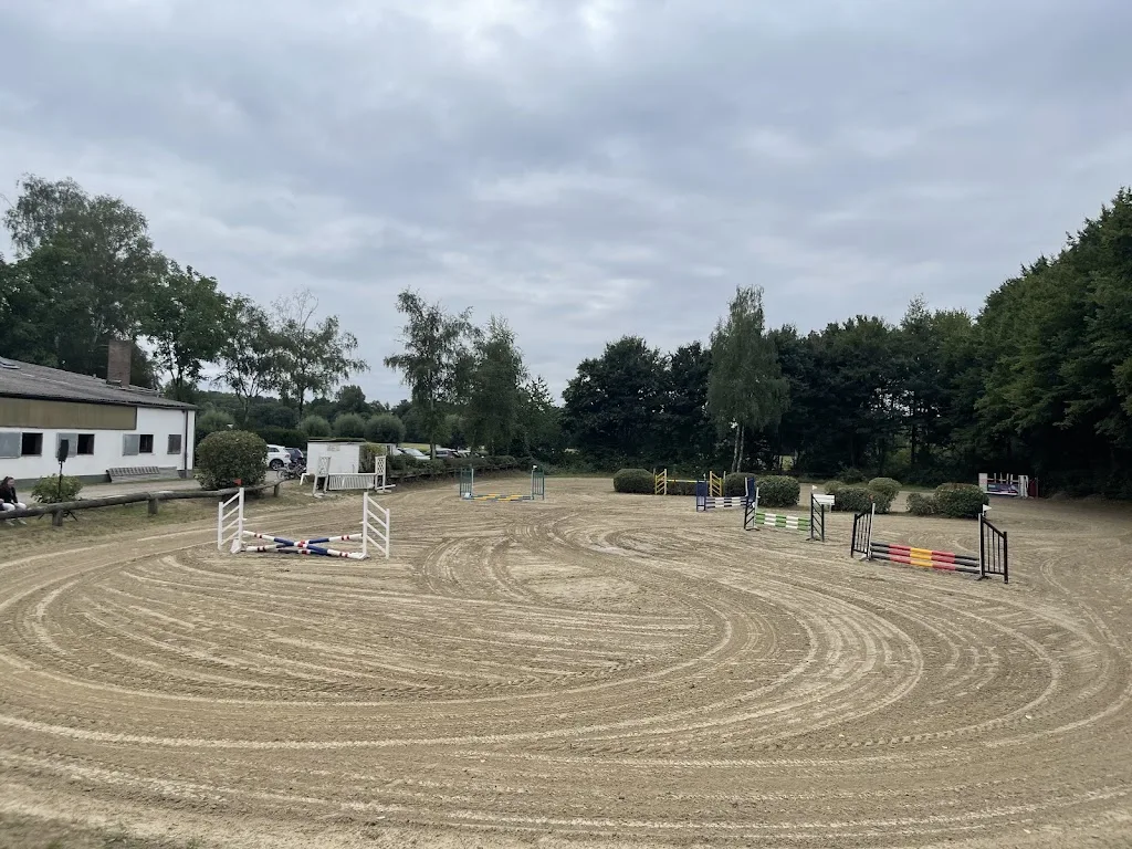 Elad Yaniv show-jumping GmbH - Foto 3