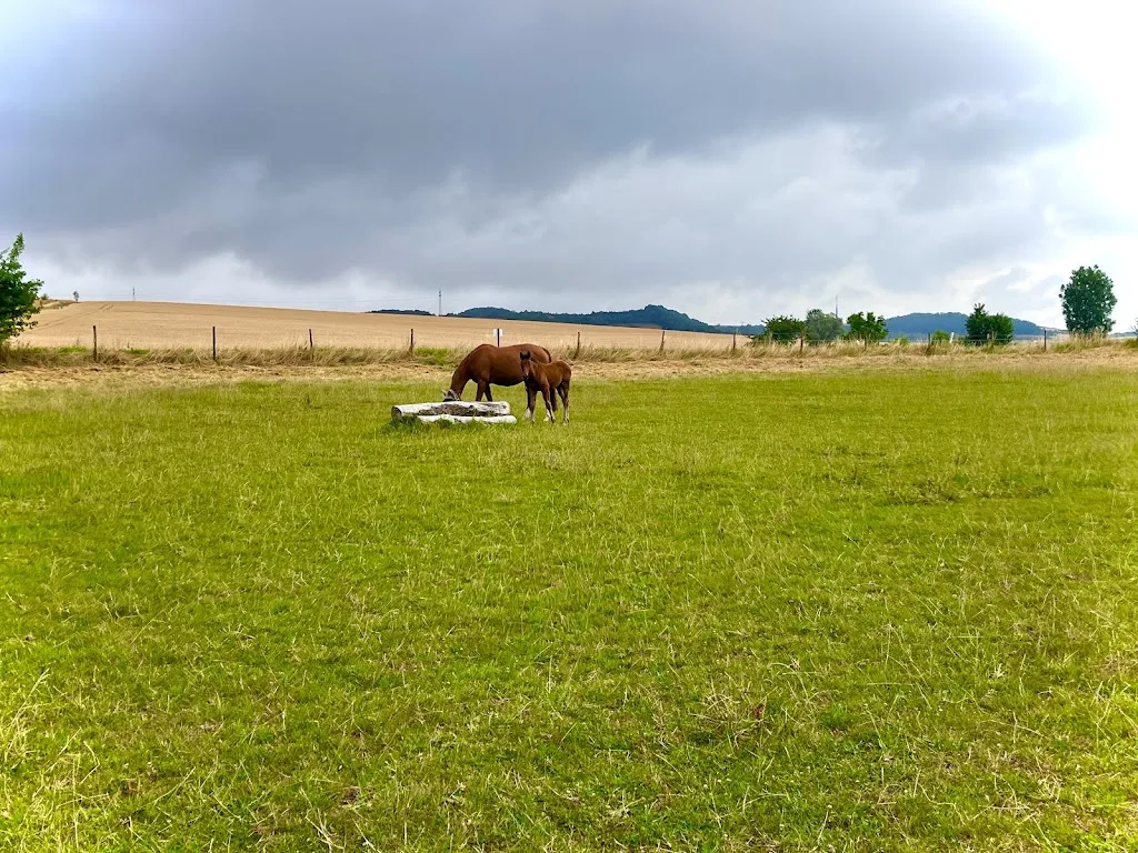 Reitanlage Bischoff - Foto 1