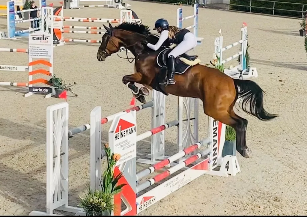 Reitanlage Bischoff - Foto 3