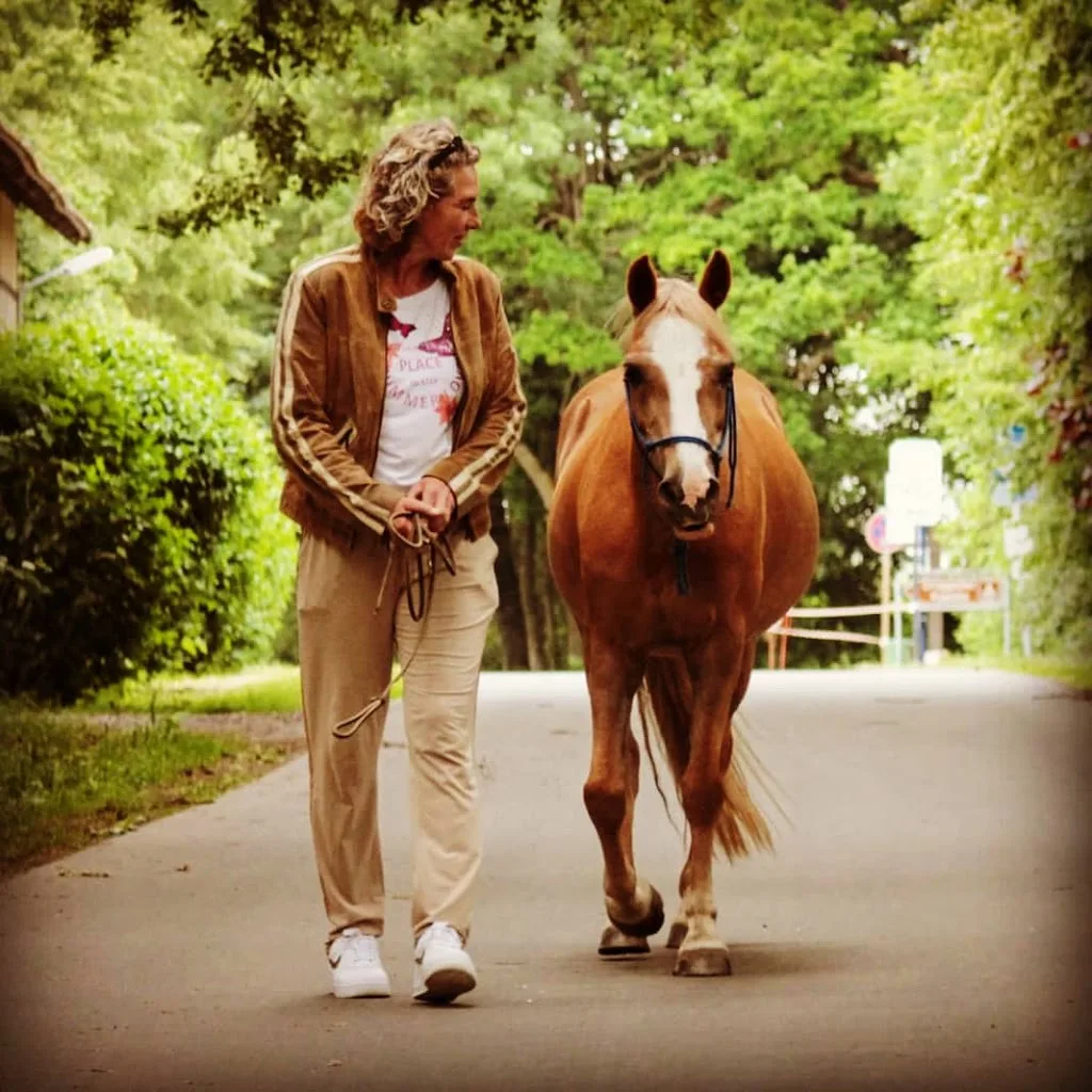 Reitanlage Gut Wulfshof Hathumar und Brigitta Rustige - photo 2
