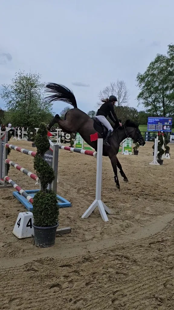 Reitanlage Gut Wulfshof Hathumar und Brigitta Rustige - photo 3
