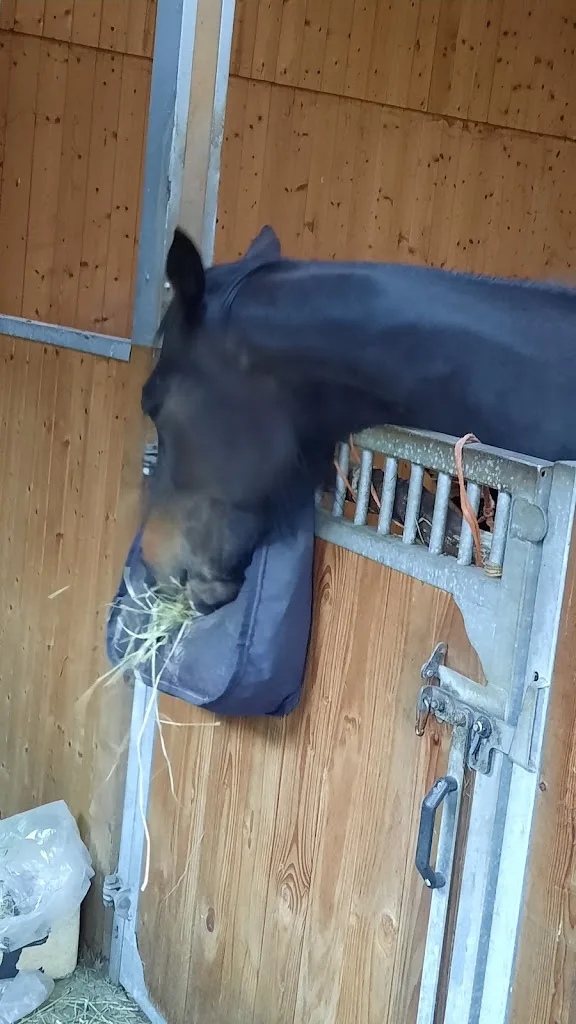 Reitstall Richter - photo 2