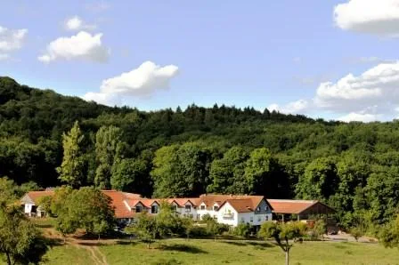 Reitanlage Babara Feldermann - Foto 3
