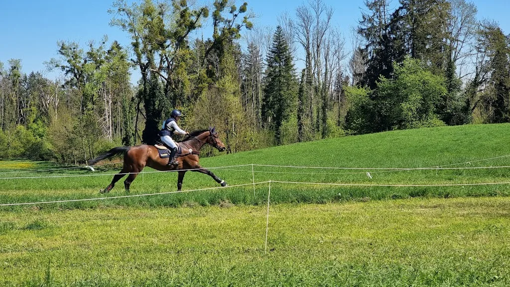 Gut Weiherhof - Foto 2